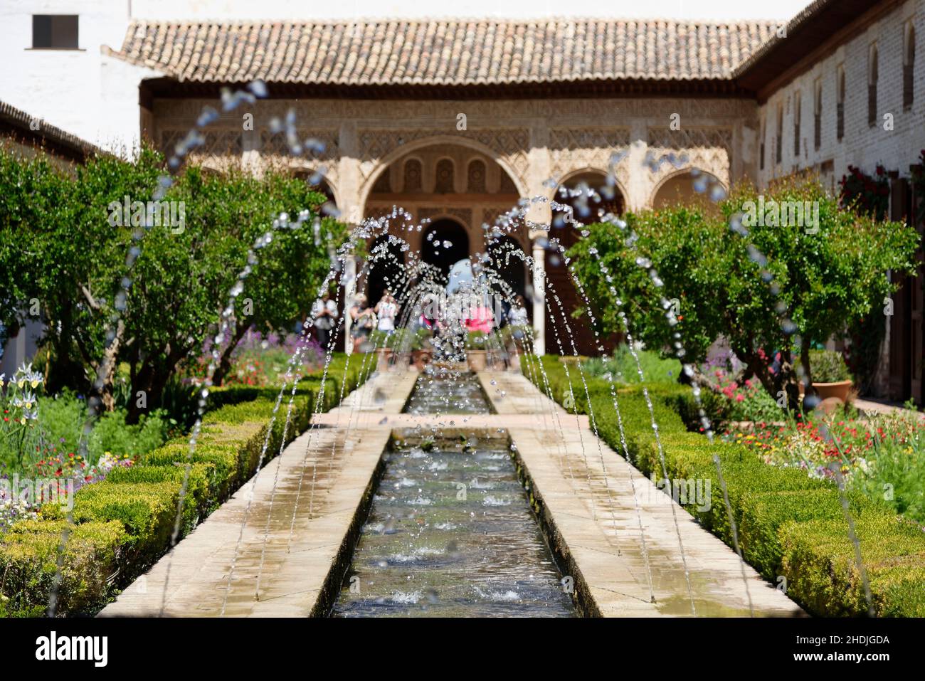 granada, palacio de generalife, patio de la acequia, granadas Stock