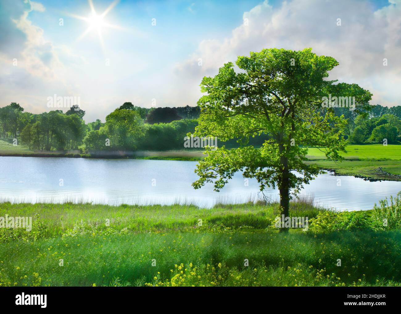 landscape, nature, environment, river, landscapes, rural, rural scene ...
