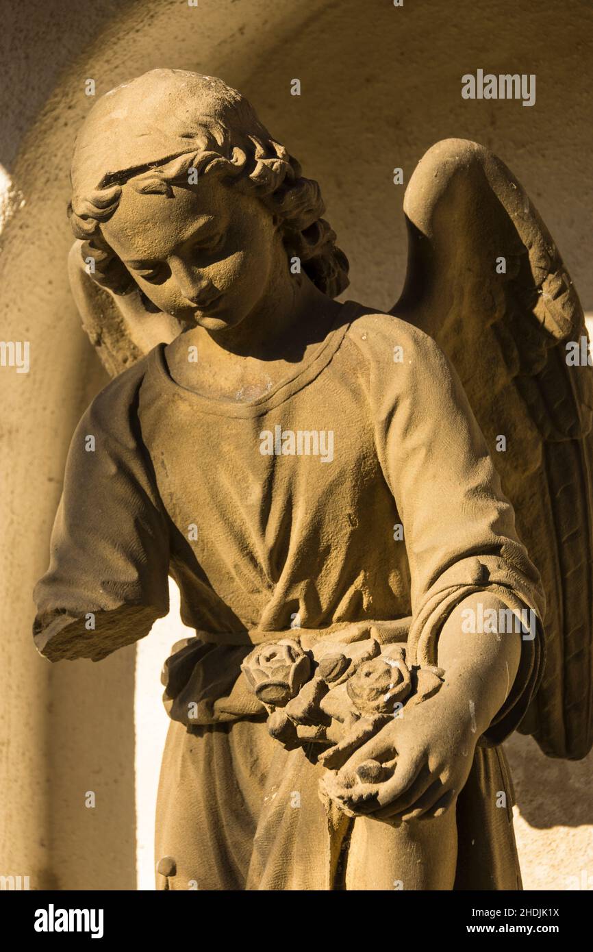cemetery, angel, statue, cemeteries, angels, statues Stock Photo Alamy