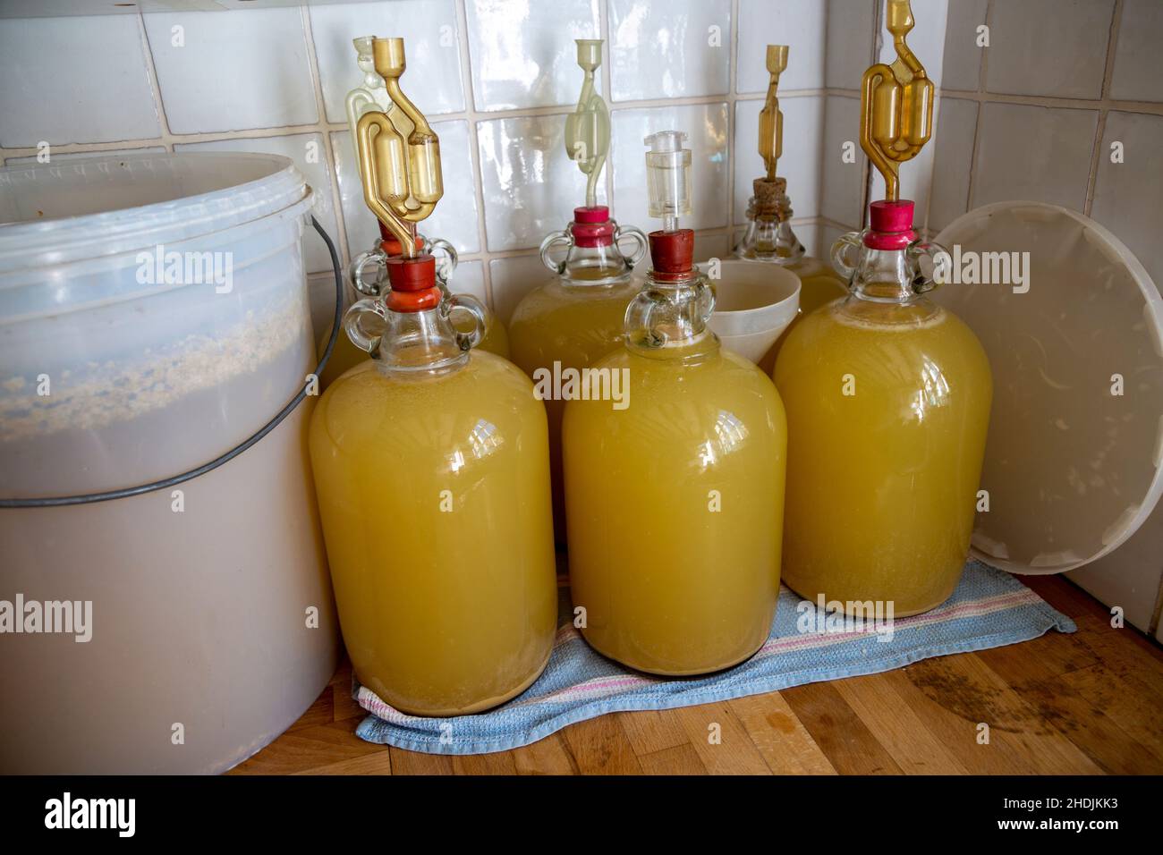 Fermenting bin and demijohns making homemade elderflower wine in