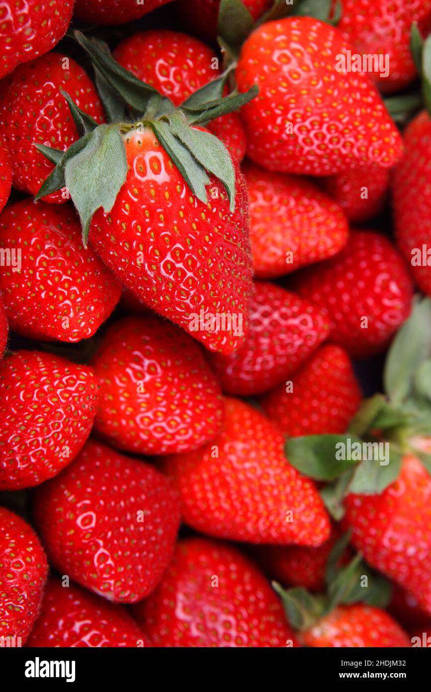 strawberry, strawberries Stock Photo