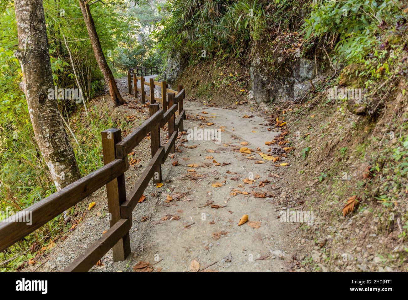 Path to Salto de Baiguate waterfall near Jarabacoa town in Dominican Republic Stock Photo
