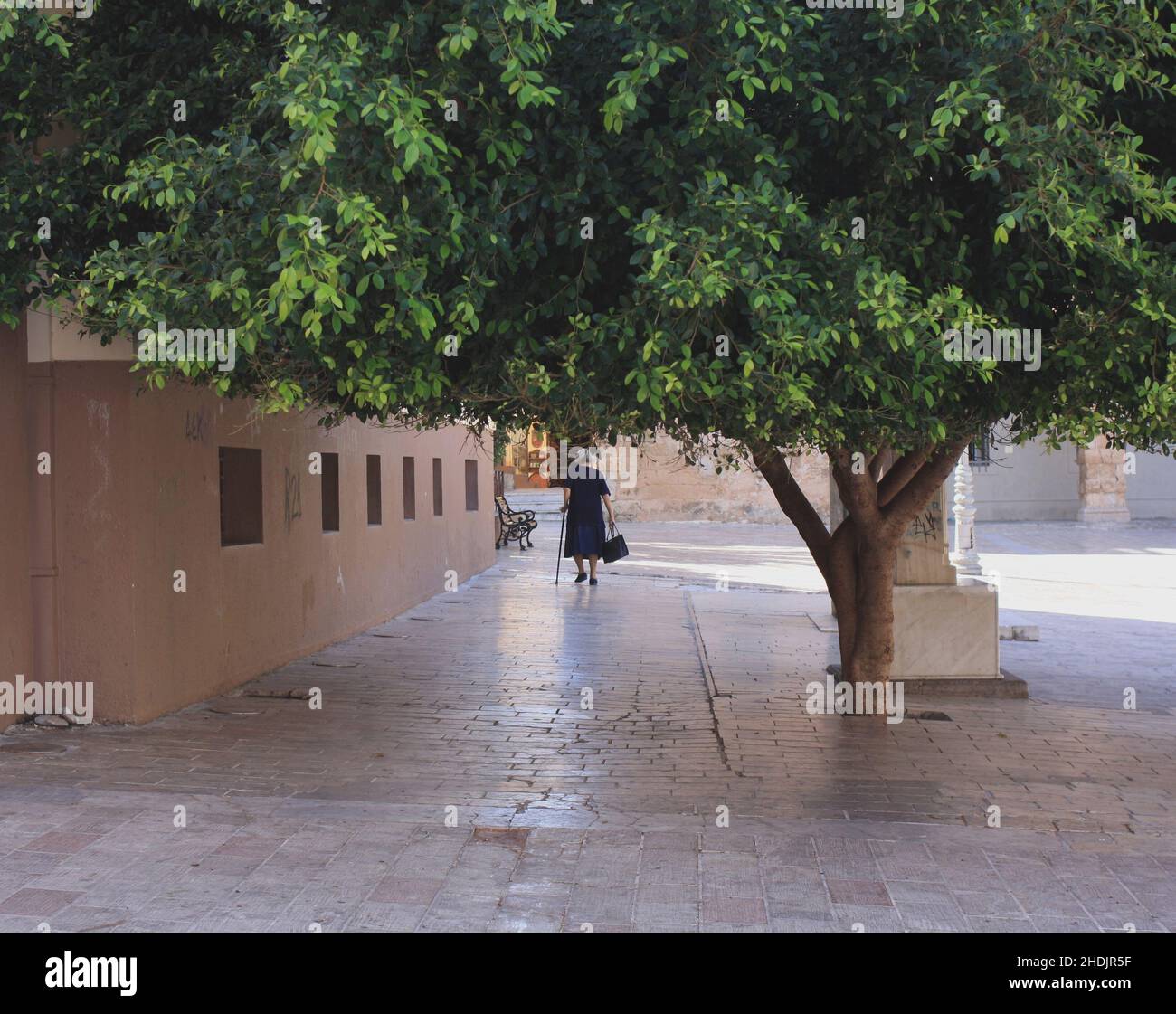senior, age, cane, elderly, old, seniors, ages, canes Stock Photo Alamy