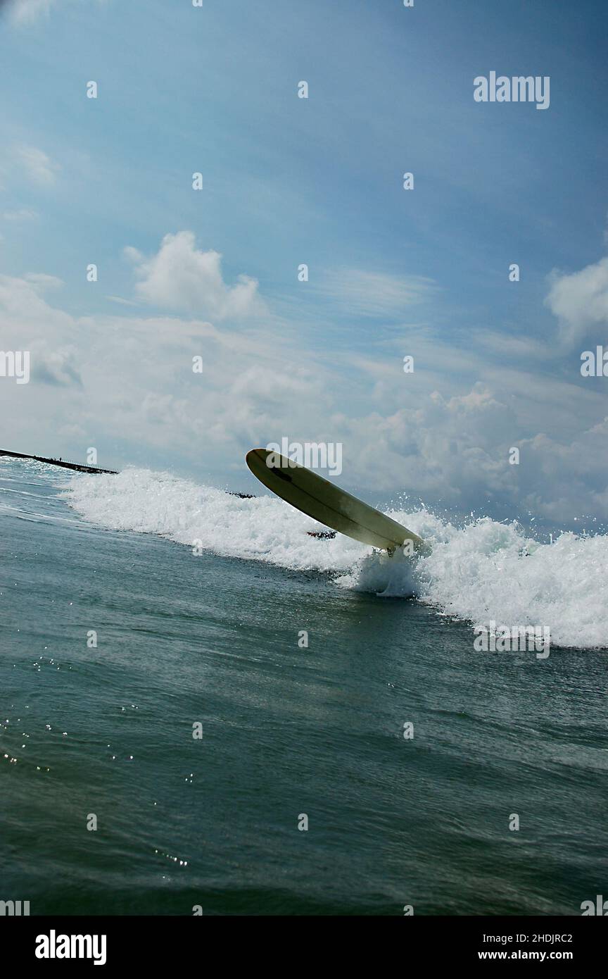 wave, surfing, surfboard, waves, surfboards Stock Photo Alamy