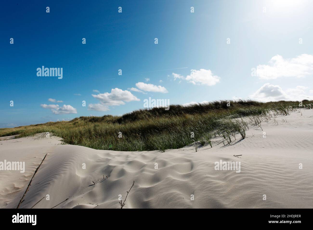 beach, dune, beaches, seaside, dunes Stock Photo - Alamy