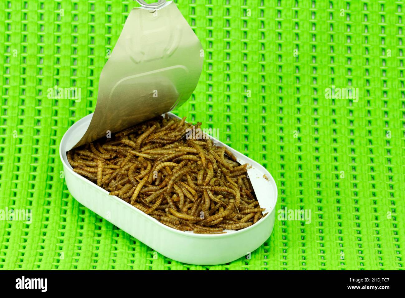 tin, mealworms, tins, mealworm Stock Photo Alamy