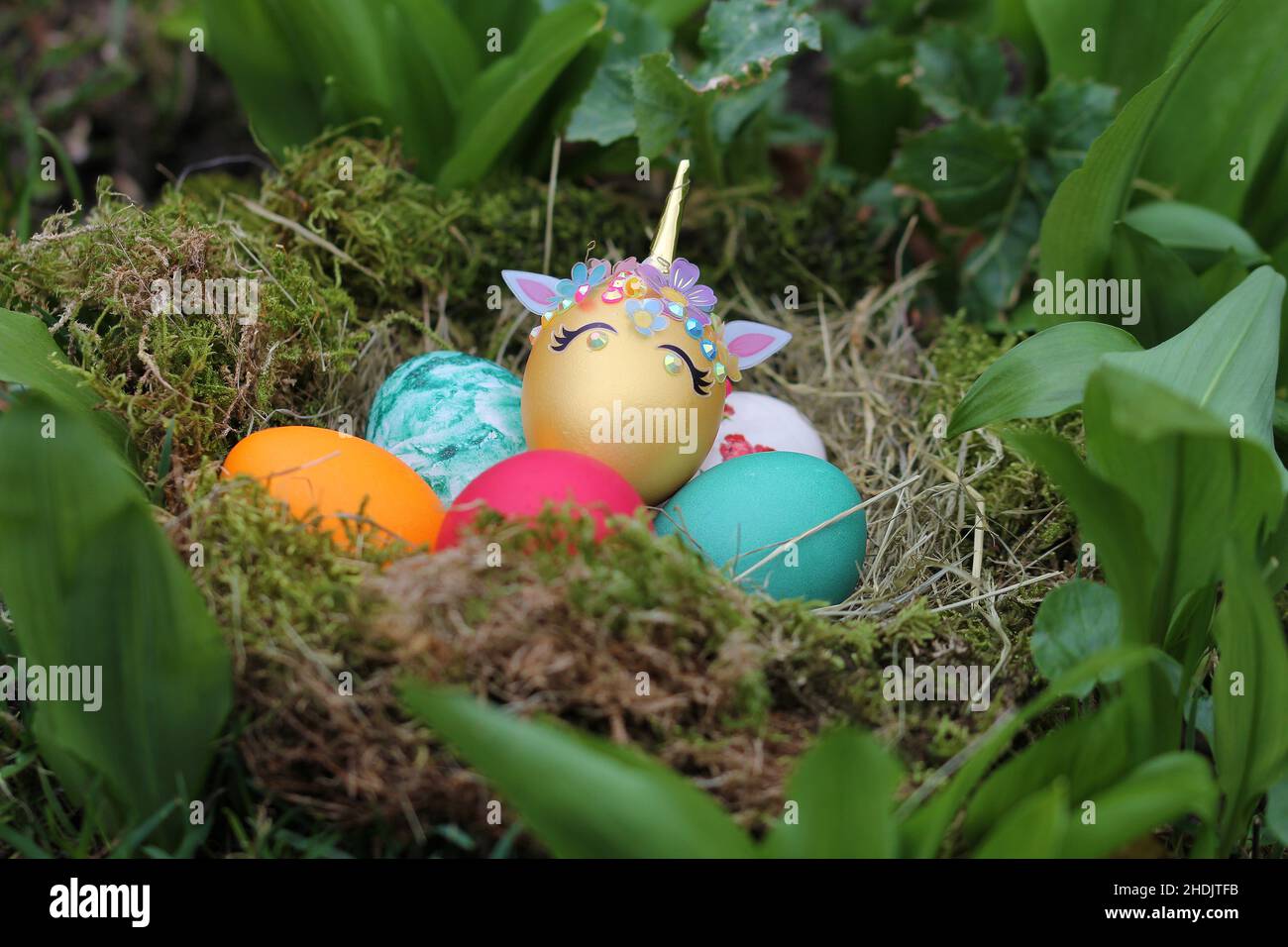easter egg, easter nest, easter eggs, easters Stock Photo