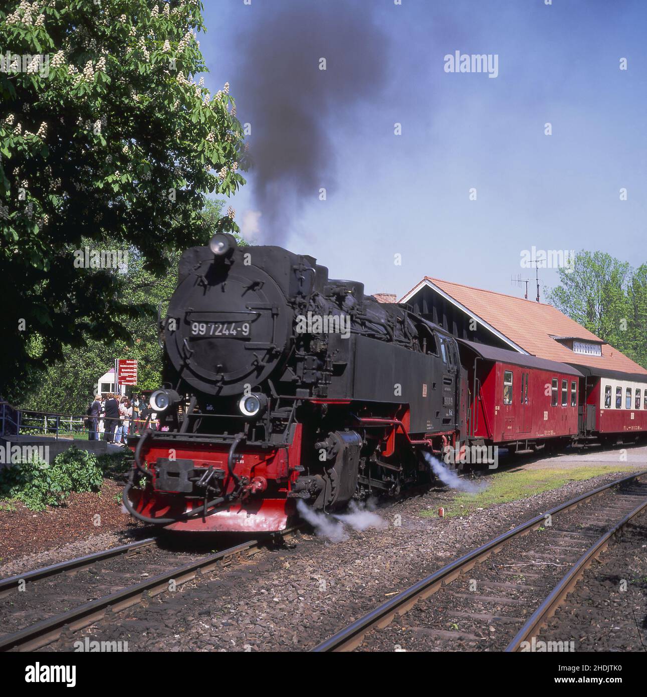 train, locomotive, trains, brockenbahn, harz narrow gauge railways ...