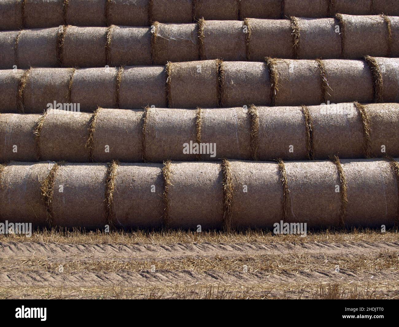 straw bales, bale, straw bale, bales Stock Photo Alamy
