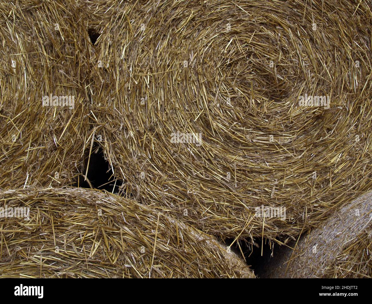straw, bale, straws, bales Stock Photo Alamy