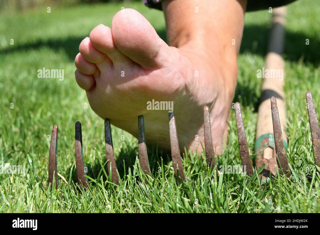 barefoot, accident risk, rake, barefoots, accident risks, rakes Stock ...