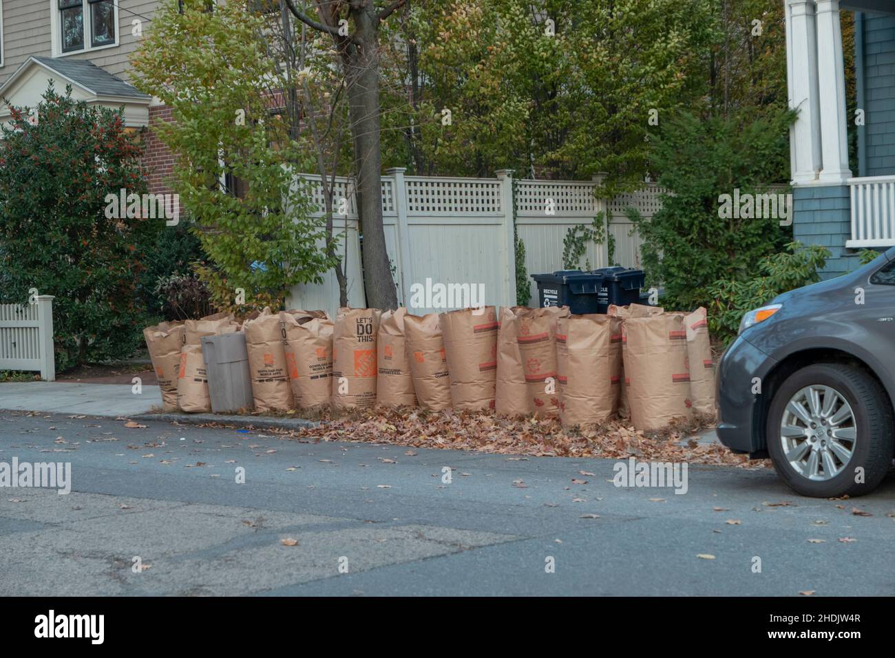 Bagged leaves in Cambridge Massachusetts USA Stock Photo Alamy