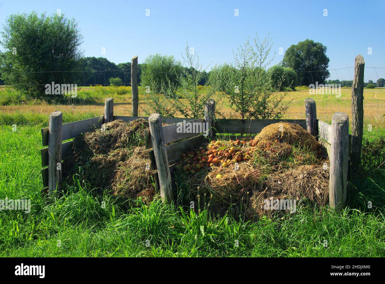 compost, compost heap, waste, composts, compost heaps, wastes Stock