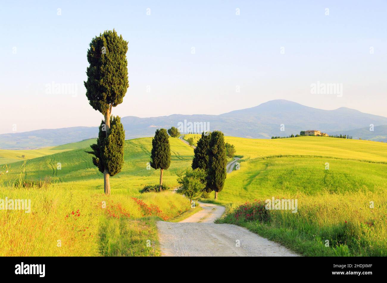 hill landscape, tuscany, landscapes, rural, rural scene, scene, scenery, scenes, tuscanies Stock Photo