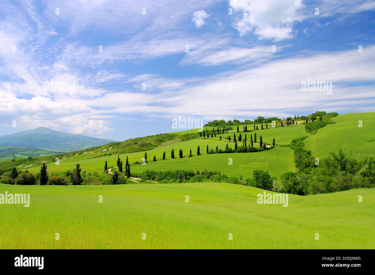 hill landscape, tuscany, val d'orcia, landscapes, rural, rural scene, scene, scenery, scenes, tuscanies, val d'orcias Stock Photo