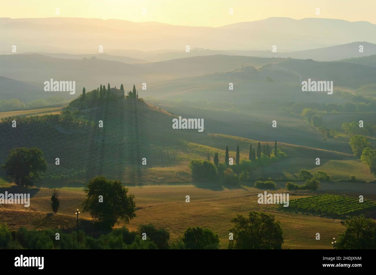 idyllic scene, morning mood, tuscany, idyllics, morning moods, tuscanies Stock Photo