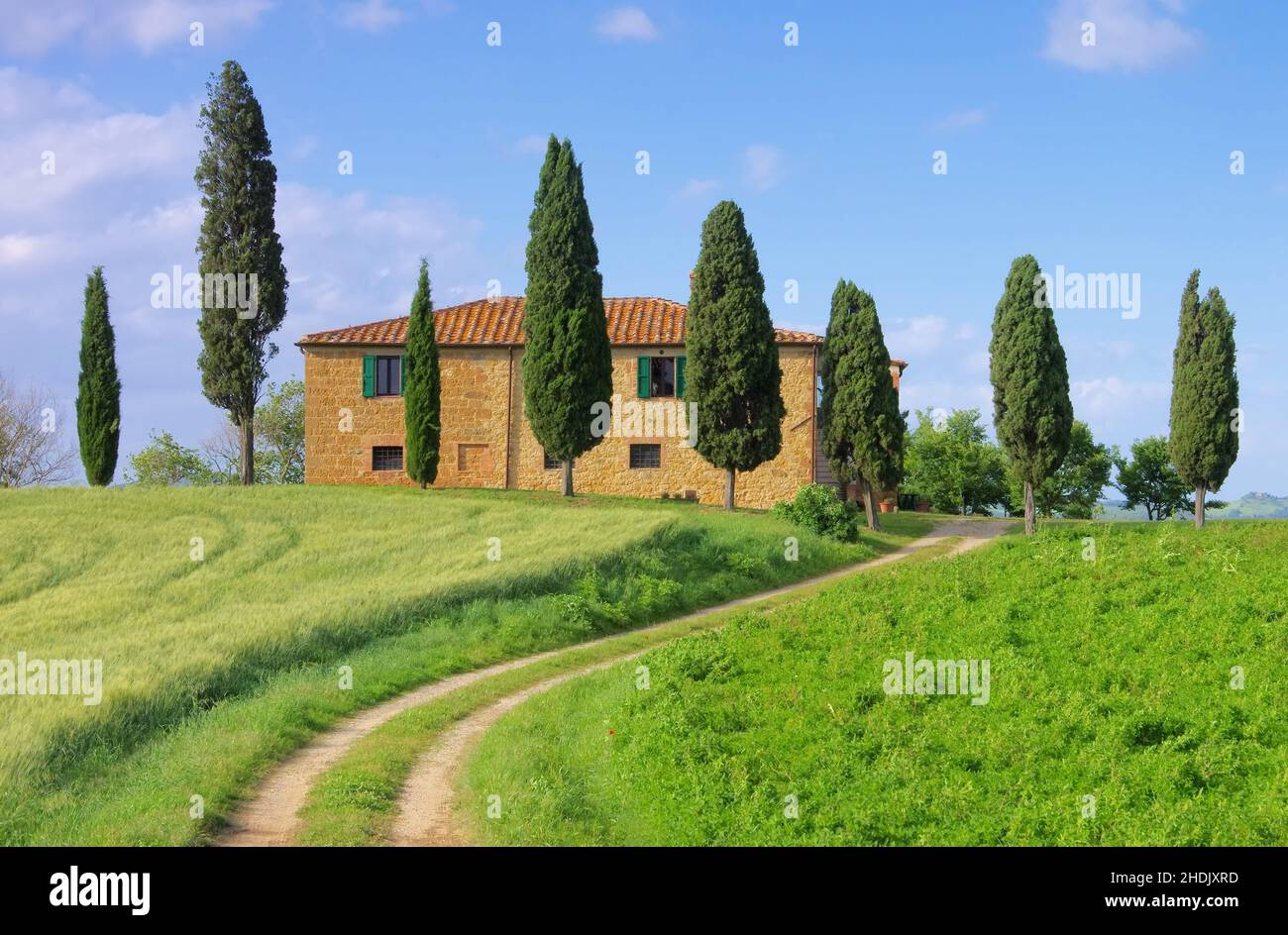 house, tuscany, val d'orcia, houses, tuscanies, val d'orcias Stock Photo