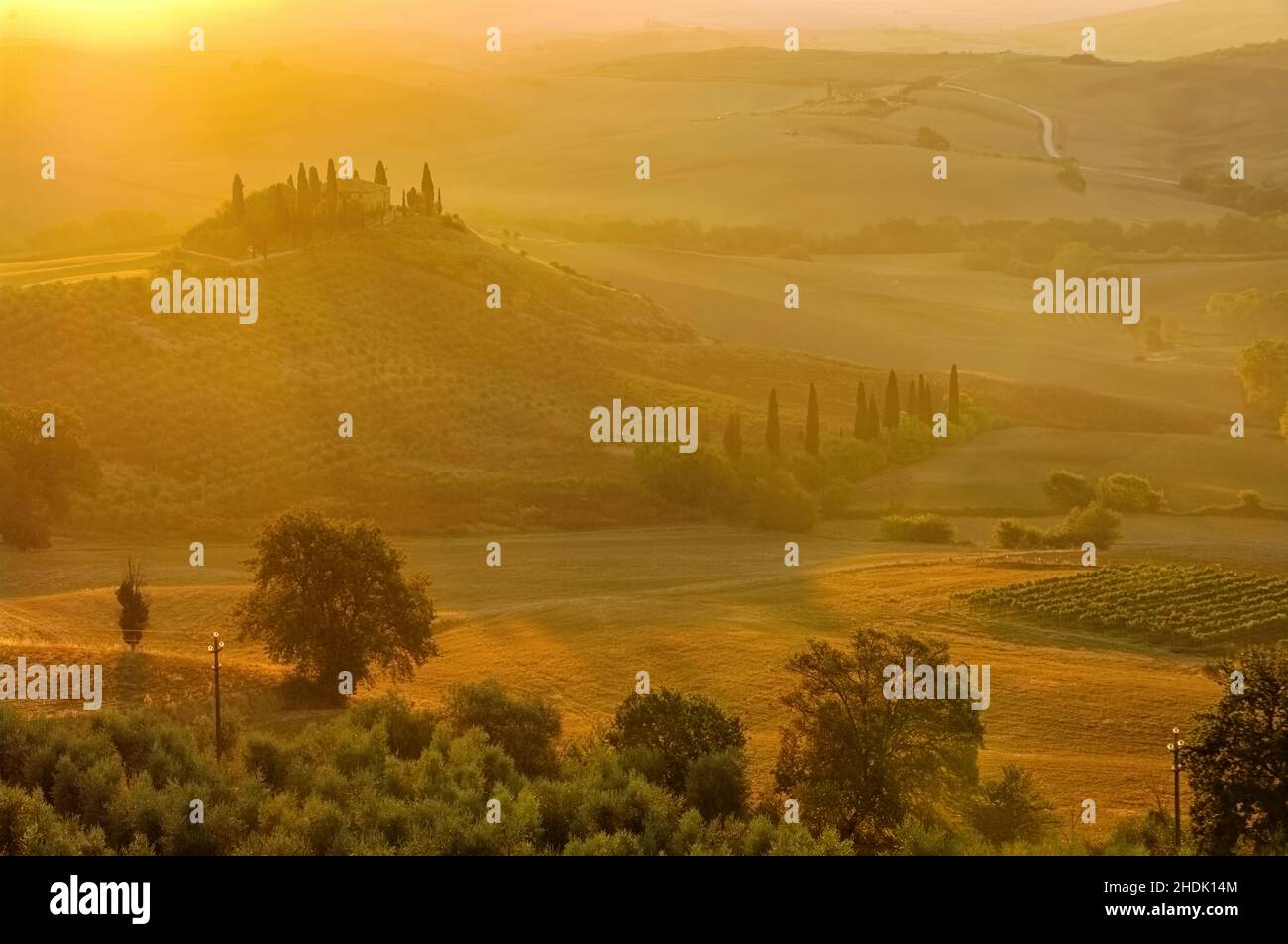 twilight, idyllic scene, morning mood, tuscany, twilights, idyllics, morning moods, tuscanies Stock Photo