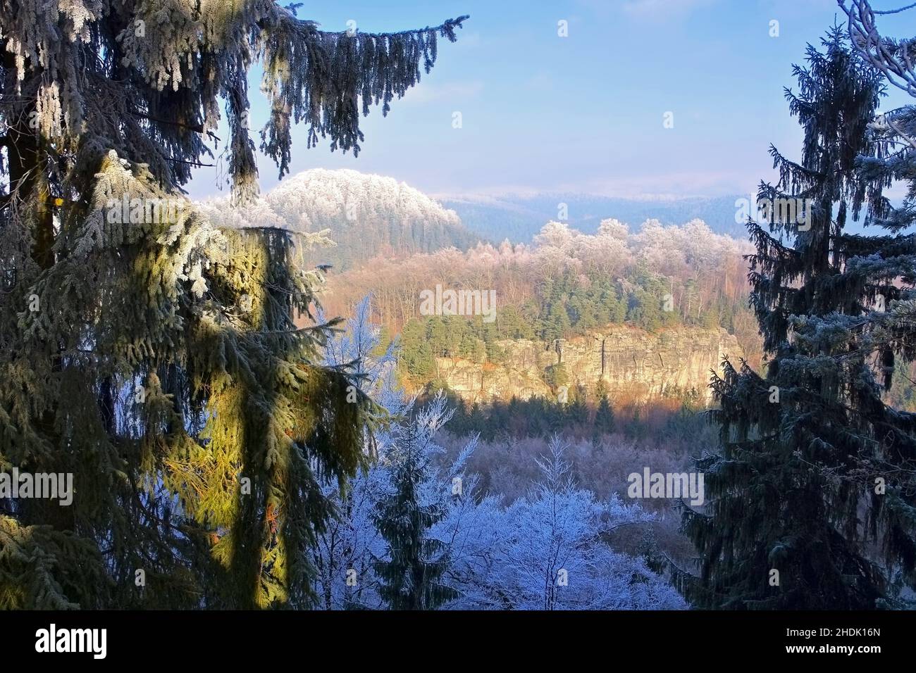 saxon switzerland, winter forest, teichstein, winter forests Stock Photo