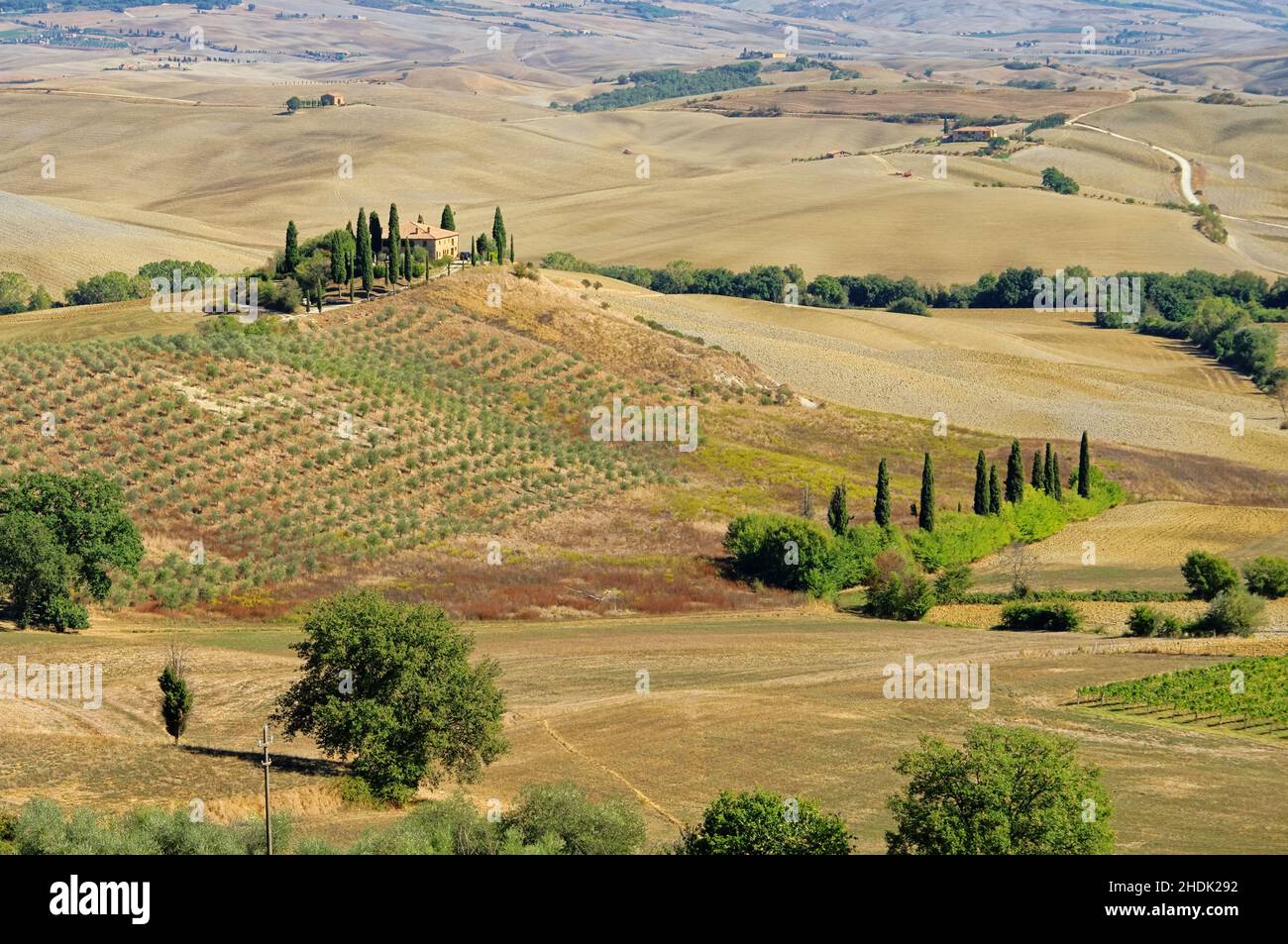 field, tuscany, cypress, val d'orcia, fields, tuscanies, val d'orcias Stock Photo
