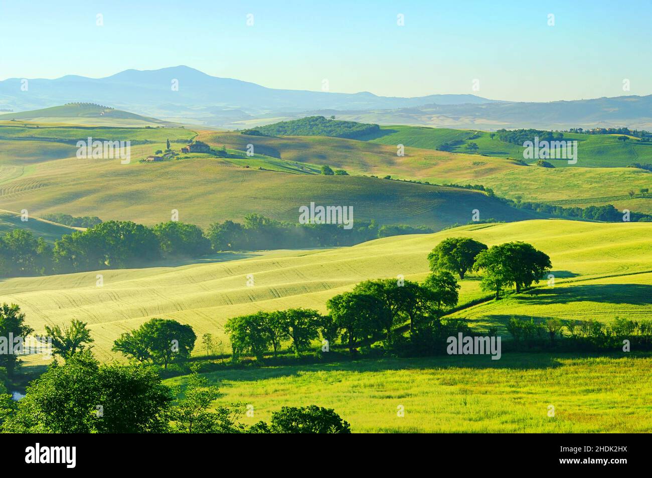 hill, tuscany, hills, tuscanies Stock Photo