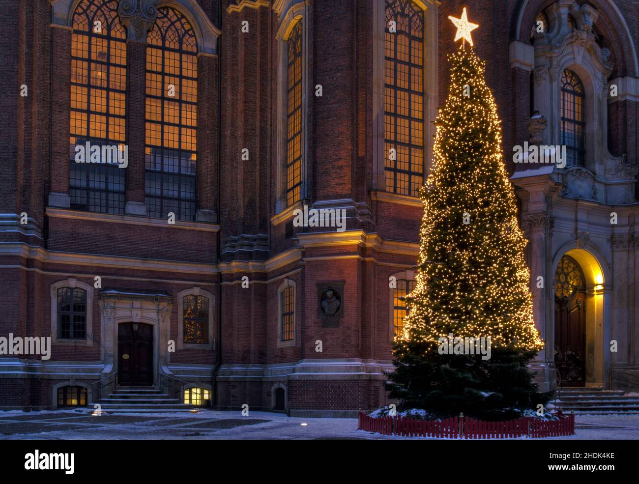 illuminated, christmas tree, illuminateds, christmas trees Stock Photo
