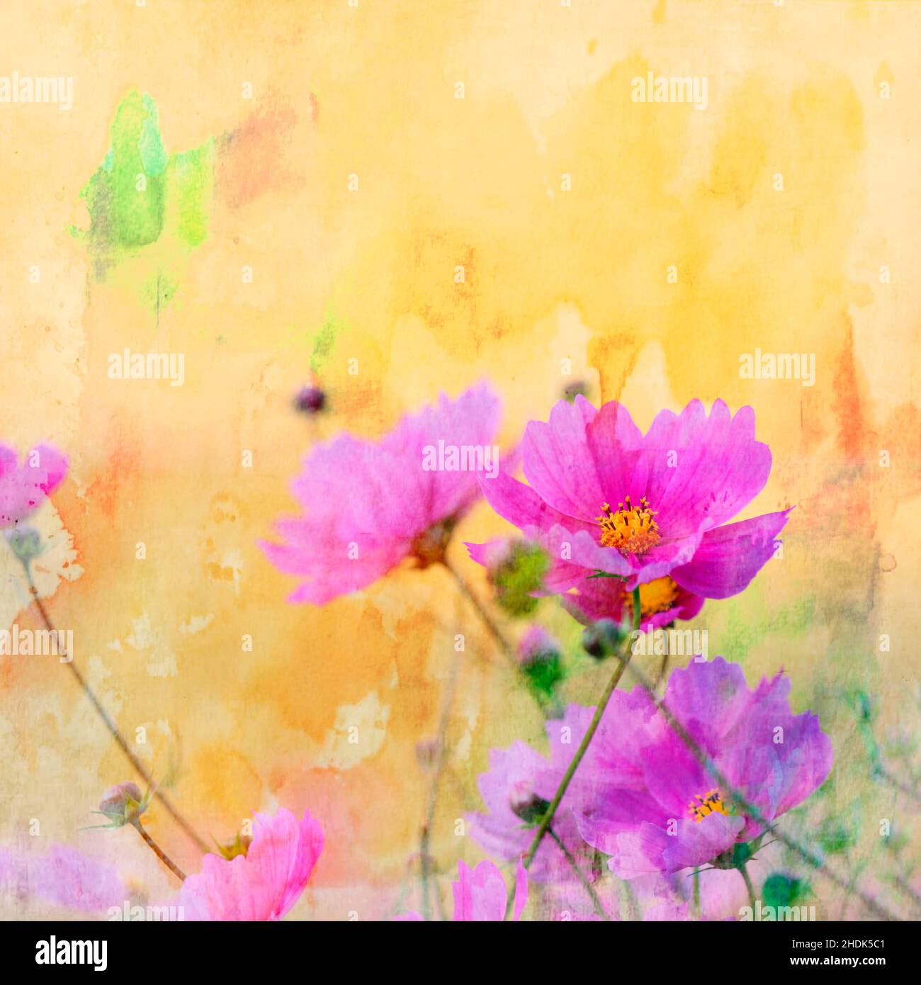 flowers, painting, mixed media, flower, flower valentain, drawing Stock