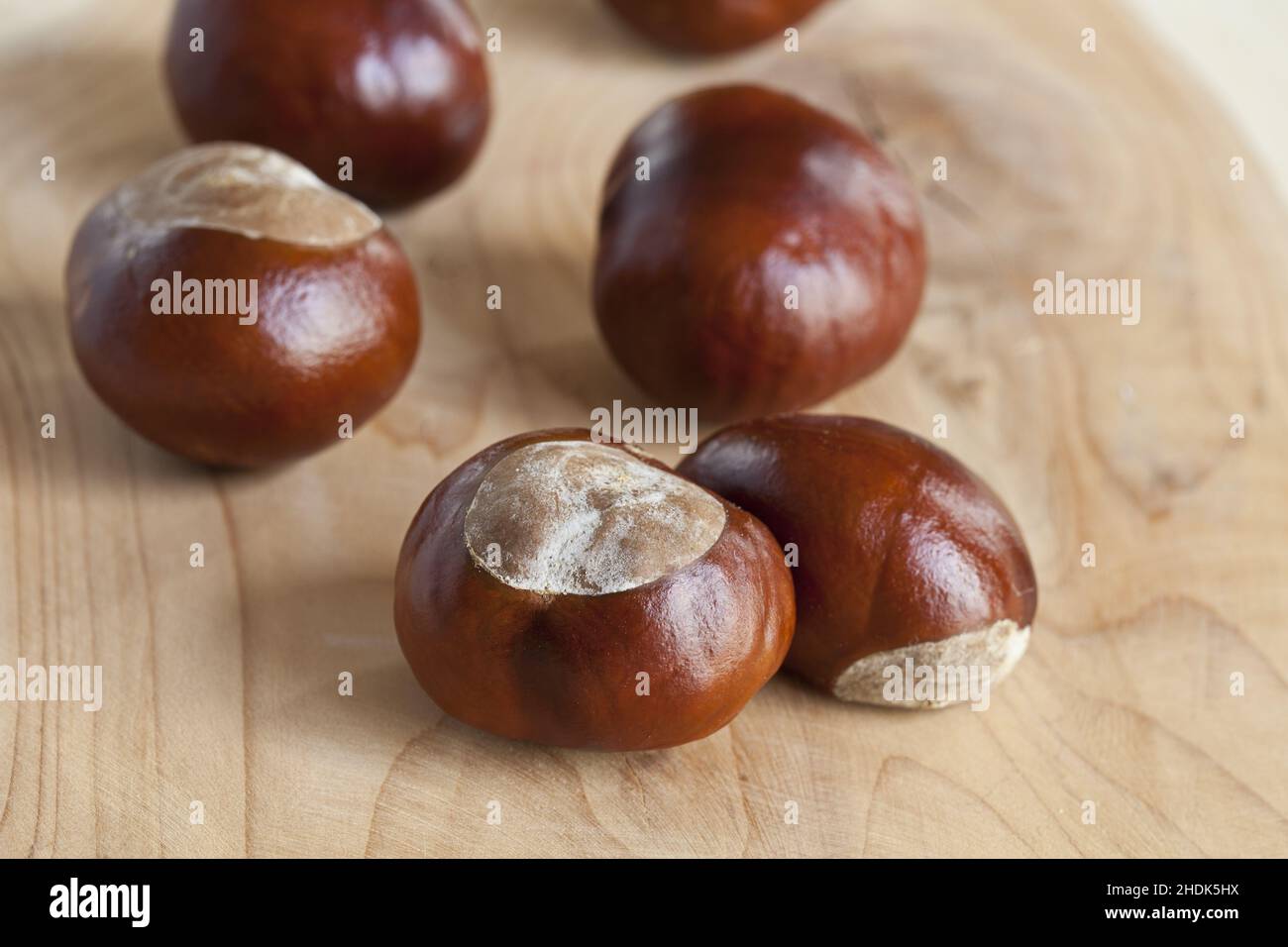 chestnut tree, chestnut trees Stock Photo - Alamy
