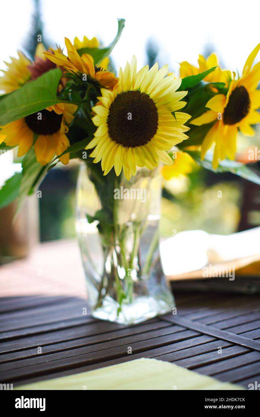 sunflower, bouquet, vase, sunflowers, bouquets, vases Stock Photo Alamy