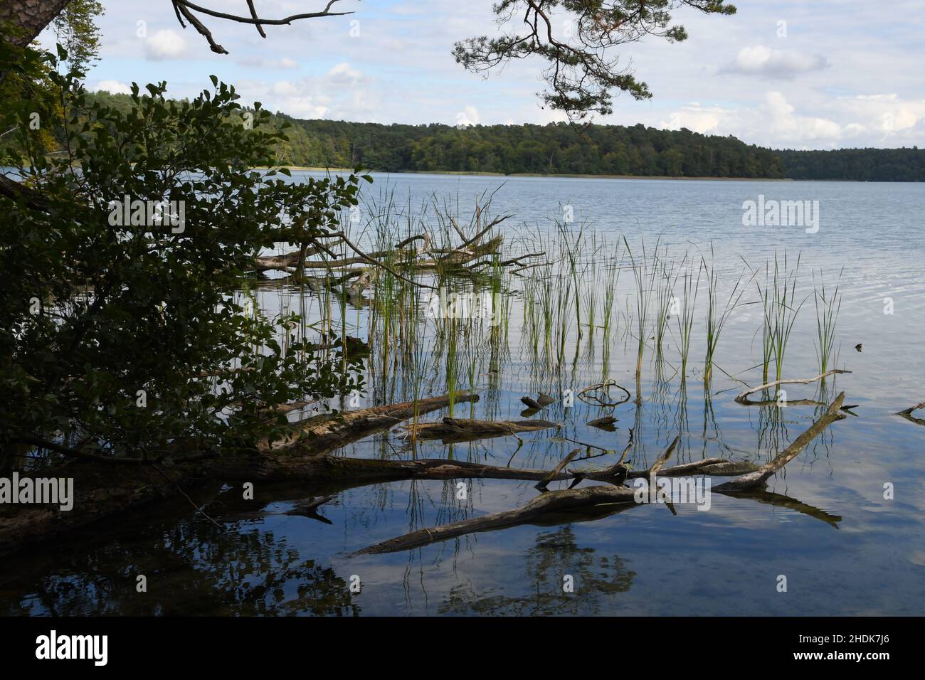 lake, shore, lakes, shores Stock Photo