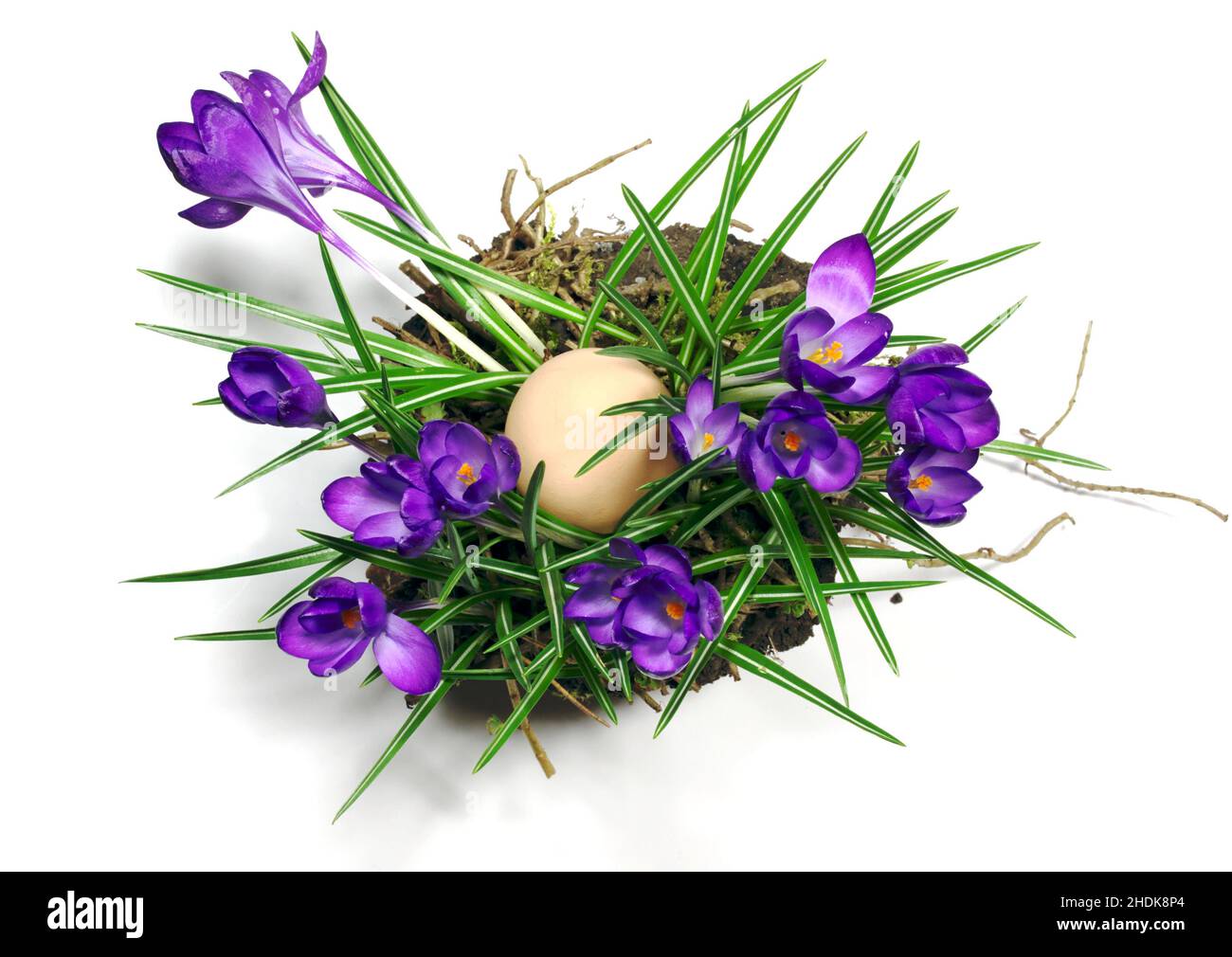 easter, easter egg, crocus, easters, easter eggs Stock Photo