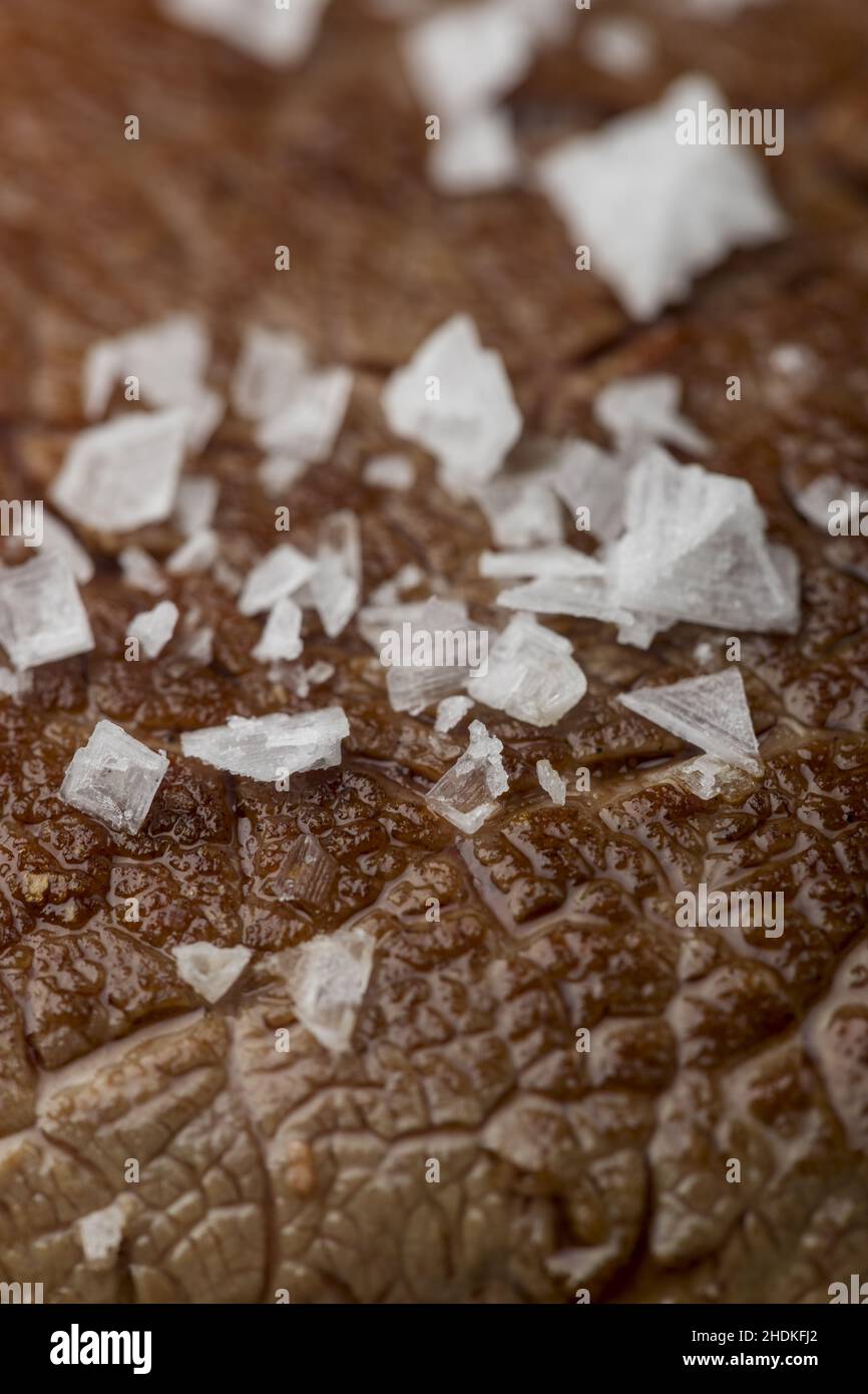 texture, sea salt, beef fillet, textures, sea salts, beef fillets ...