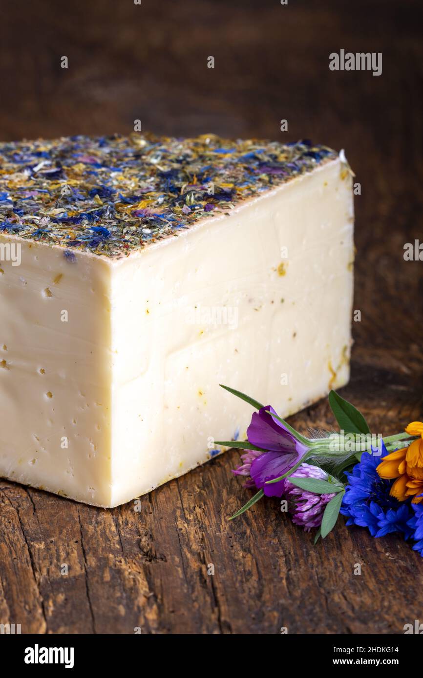 cheese, cheeses Stock Photo