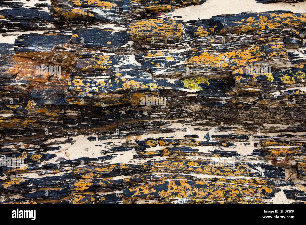 lichens, rock, lichen, rocks Stock Photo - Alamy