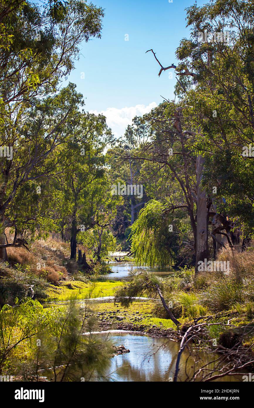 nature, river, australia, new south wales, natur, natures, rivers ...
