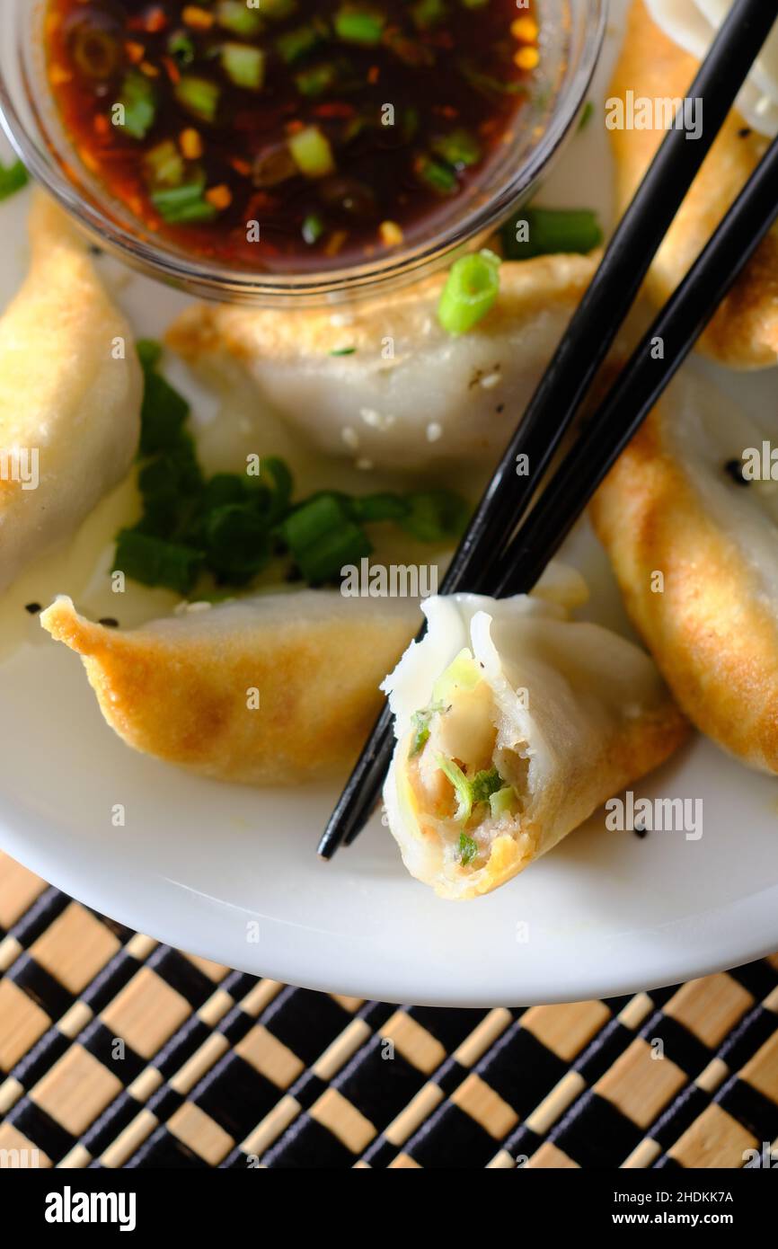 Homemade fried Asian potsticker dumpling appetizer with spicy ponzu