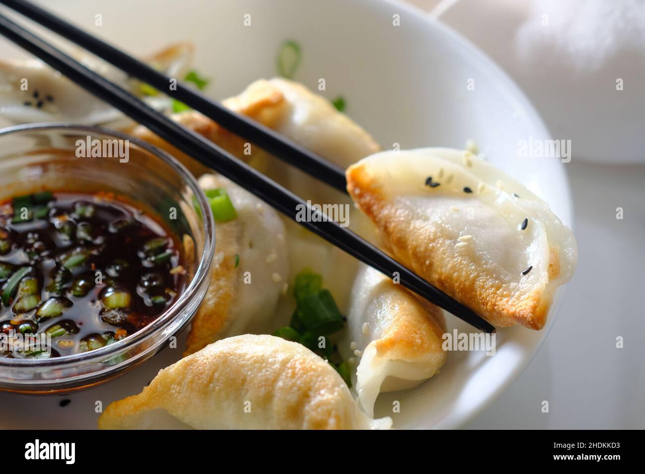 Homemade fried Asian potsticker dumpling appetizer with spicy ponzu