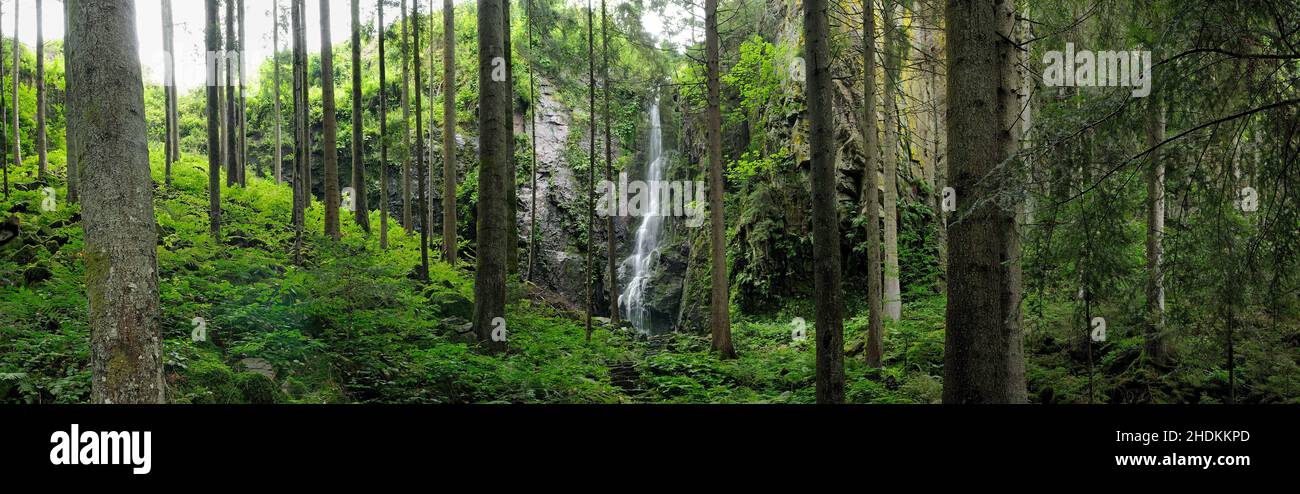 waterfall, forest, enchanted  , castle creek waterfall, cascade, waterfalls, forests, wood, woodland, woods, enchanted  s Stock Photo