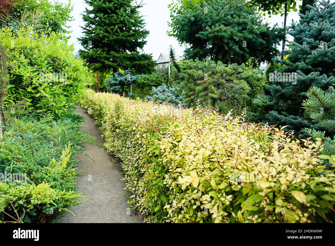 Alley in beautiful green park Stock Photo - Alamy