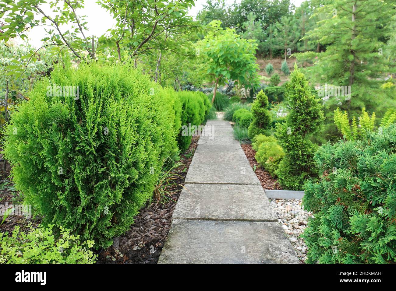Alley in beautiful green park Stock Photo - Alamy