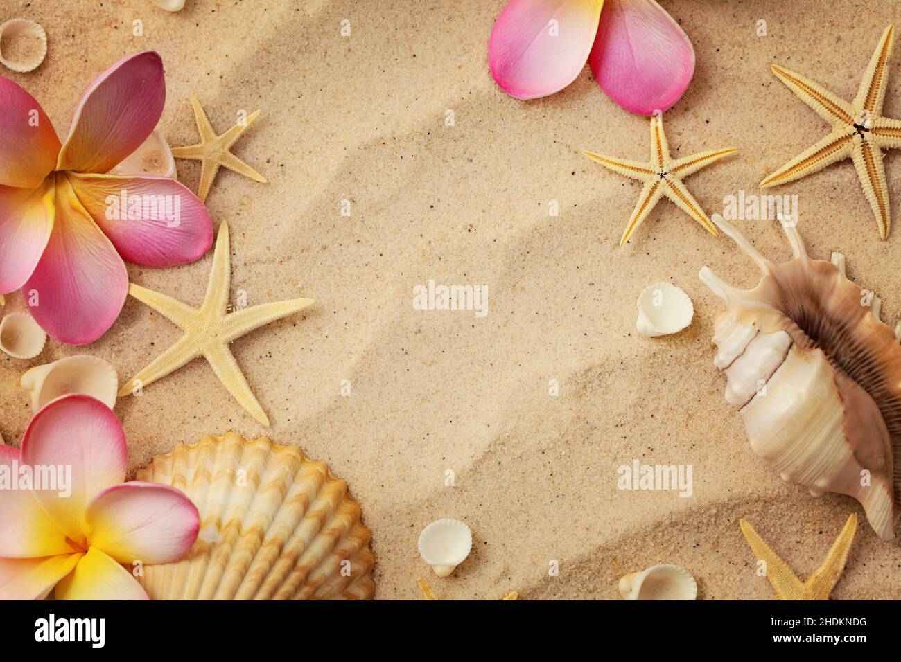 mussels, beach holiday, summer vacation, mussel, beach holidays, summer