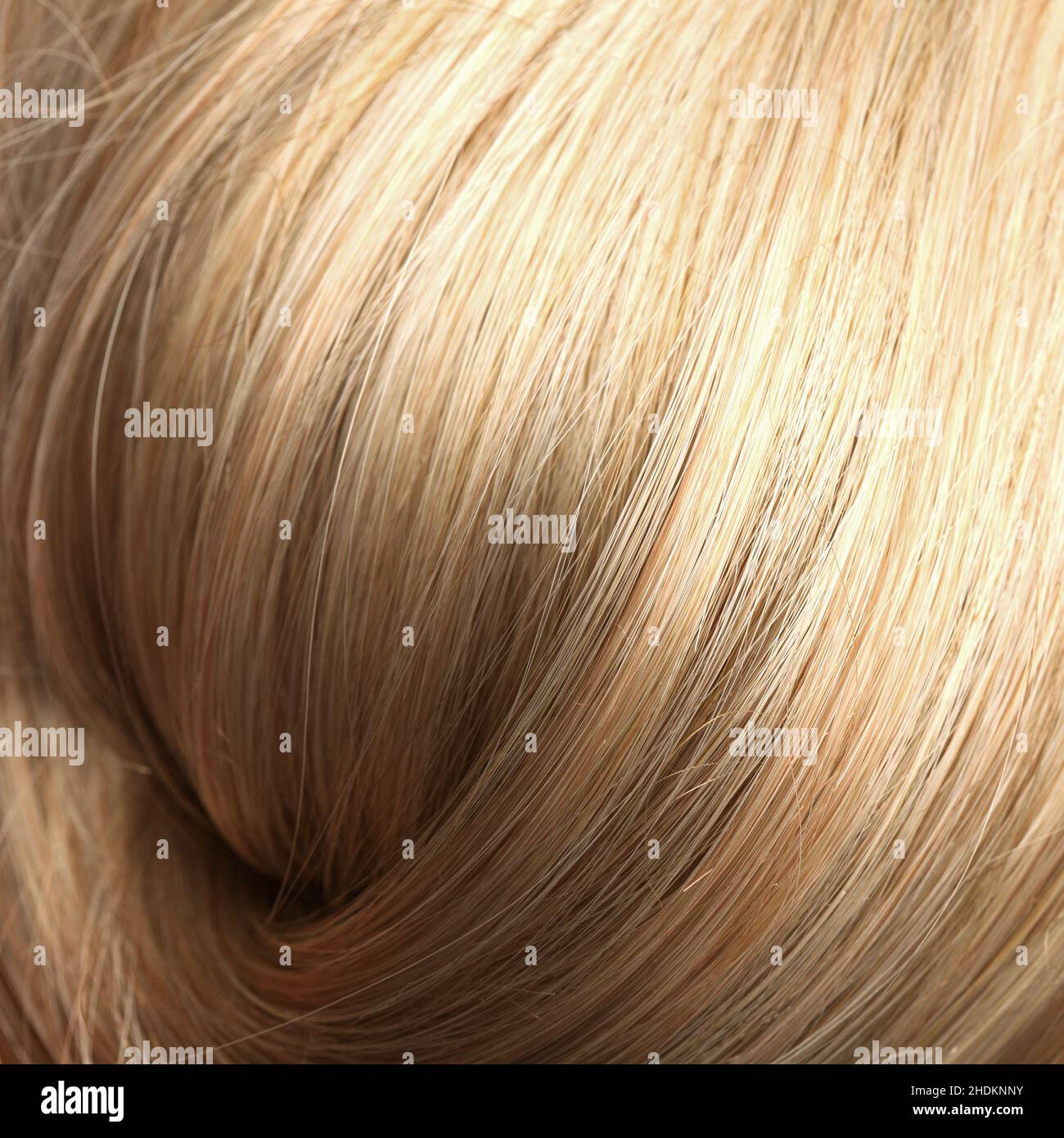 blonde hair, hair, blond, blonde, blonde hairs, hairs Stock Photo