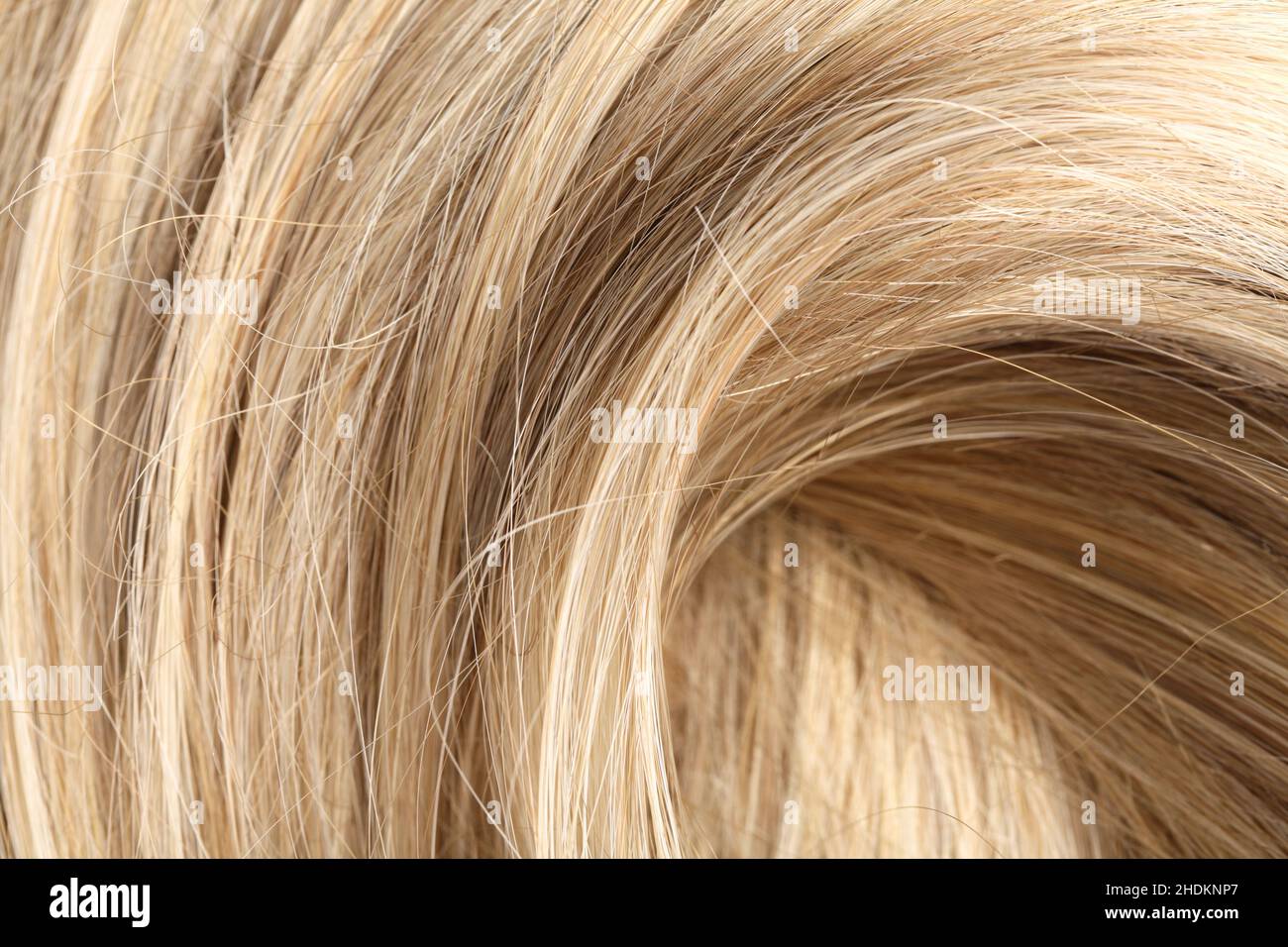 blonde hair, hair, blond, blonde, blonde hairs, hairs Stock Photo