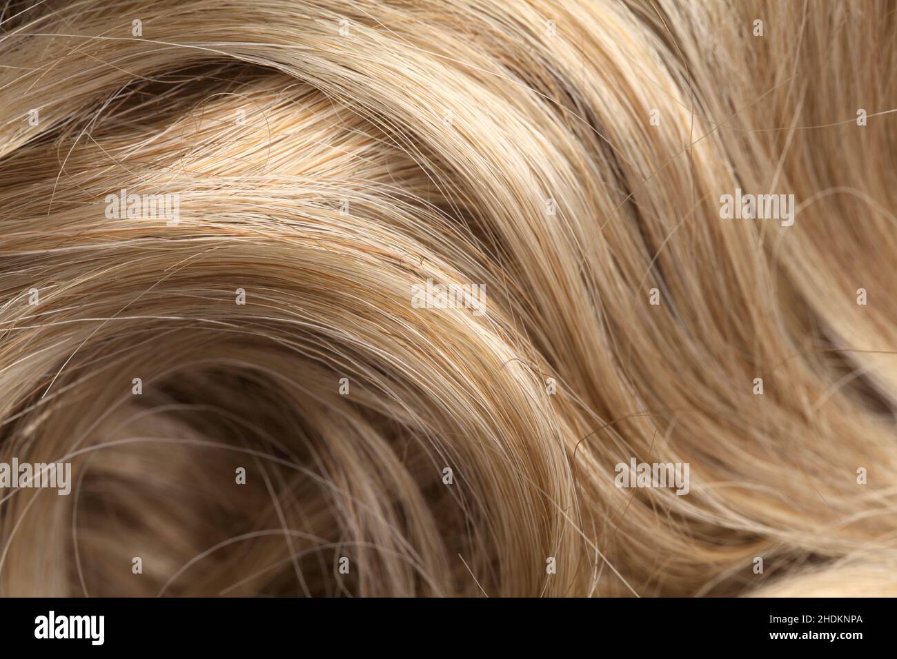 blonde hair, hair, wavy, blond, blonde, blonde hairs, hairs, wavies Stock Photo