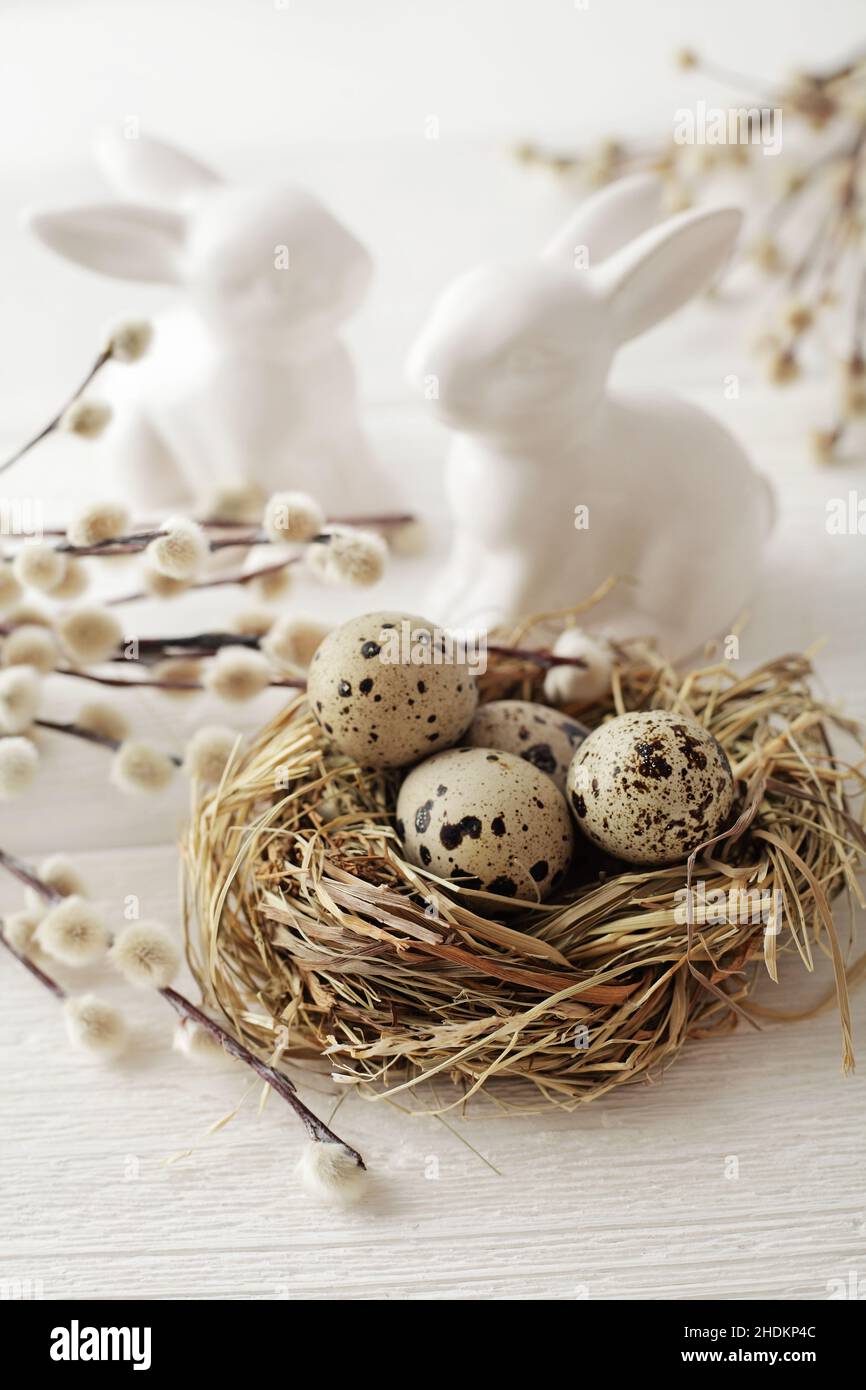 easter nest, easter bunny, quail, pussy willow, easters, easter bunnies