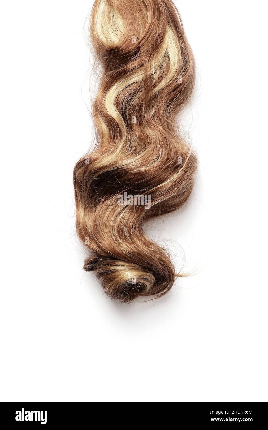 long hair, highlights, long hairs, highlight Stock Photo