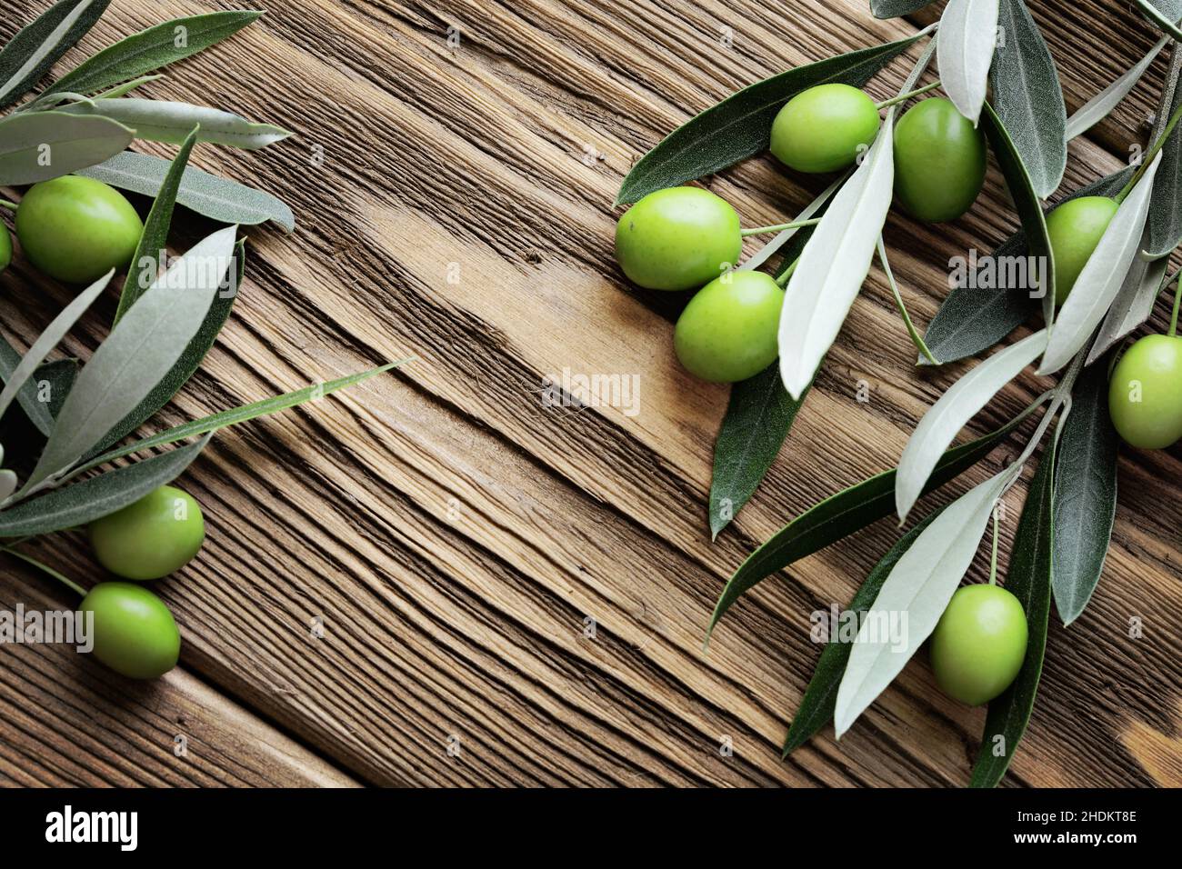 olive branch, olives, green olives, olive branchs, olive, green olive