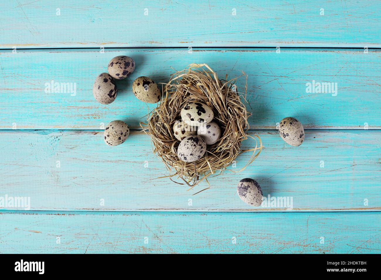 easter nest, quail, easters, quails Stock Photo