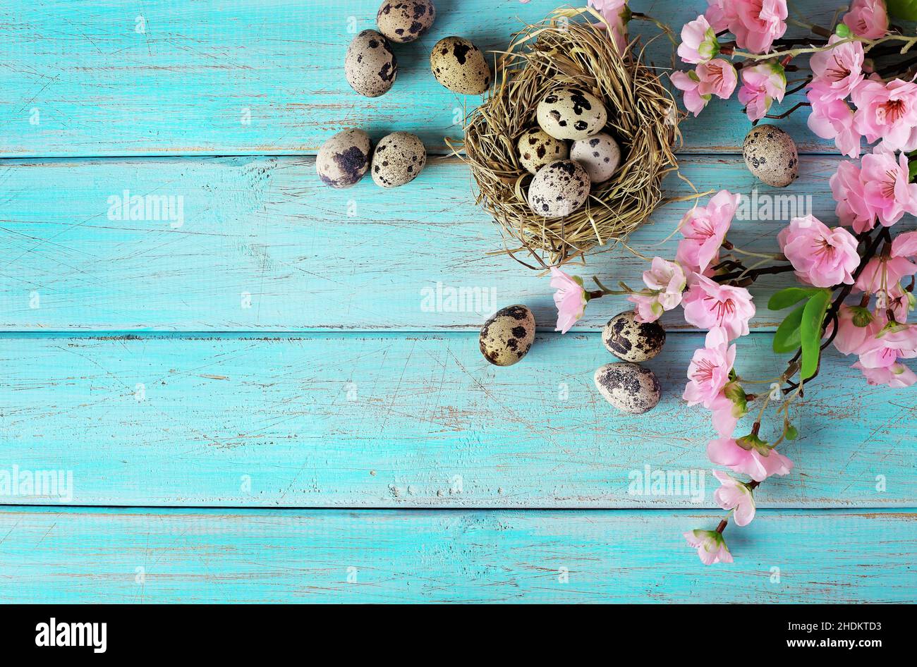 easter, easter egg, easter nest, easters, easter eggs Stock Photo