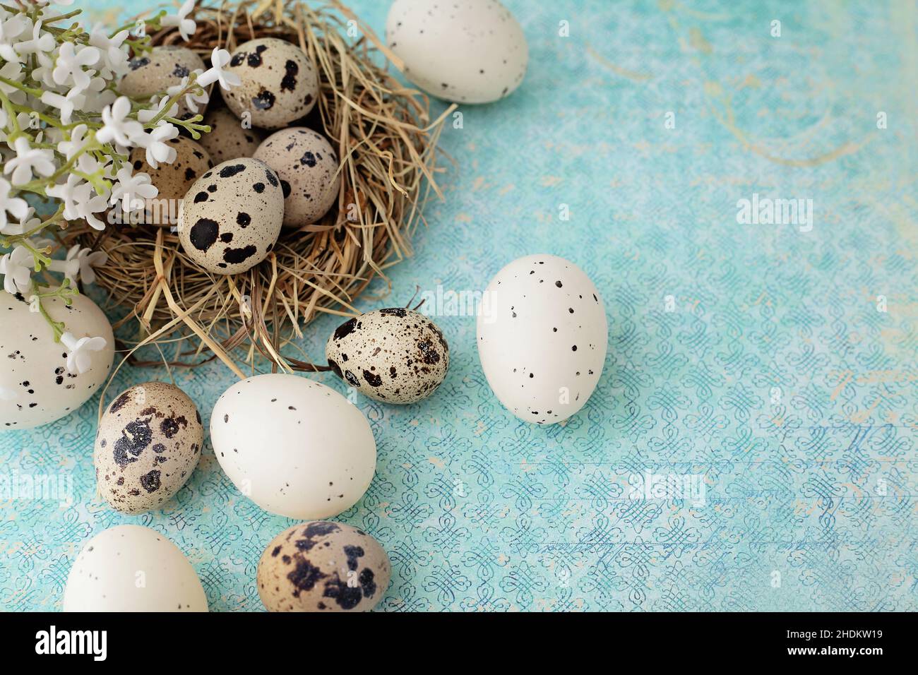 easter nest, quail, easter decoration, spring decoration, easters, quails, easter decorations, spring decorations Stock Photo